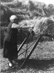 Archivaufnahme, privat